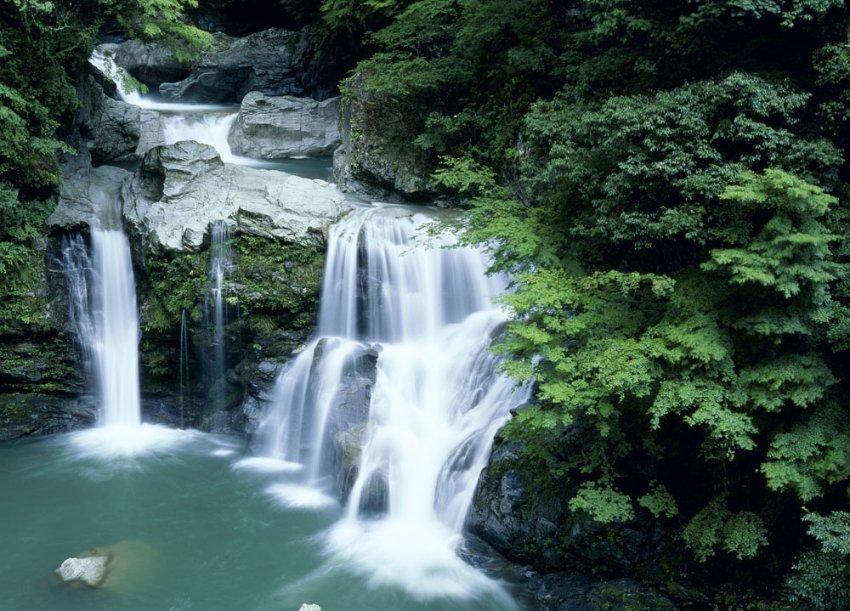 玉米结穗后还用浇水吗游戏画面
