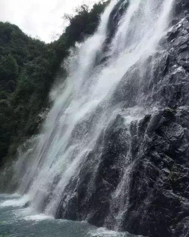 枪血黑手党