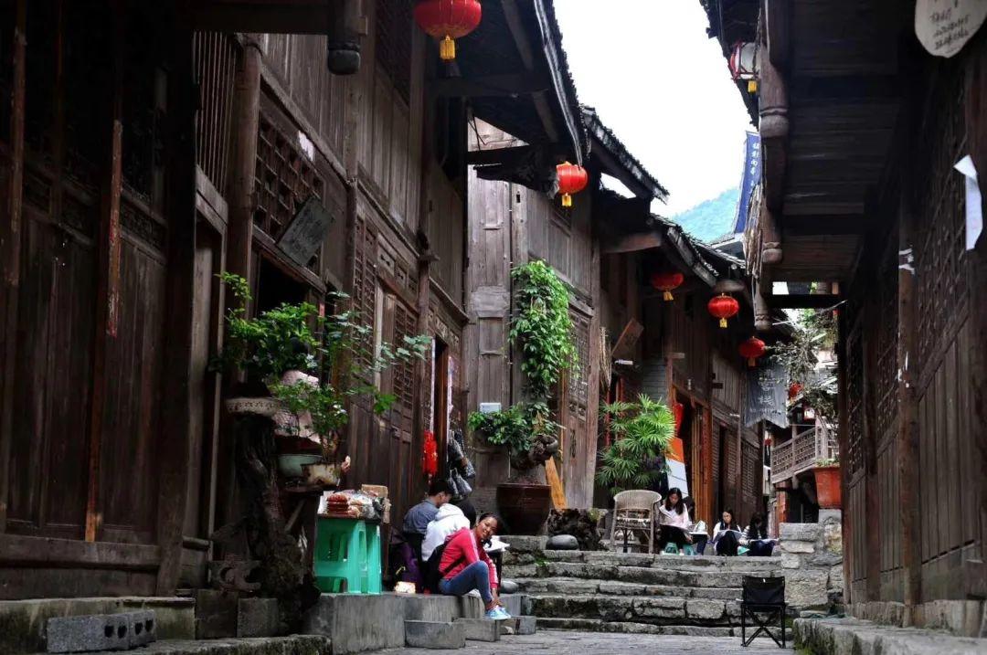 五彩鹦鹉救援